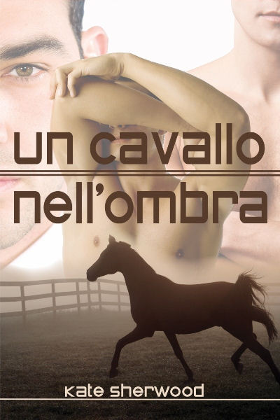 Un cavallo nell’ombra