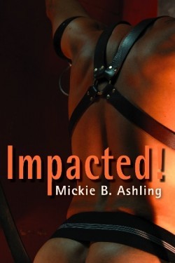 Bay Area Professionals by Mickie B. Ashling | Series and Collections