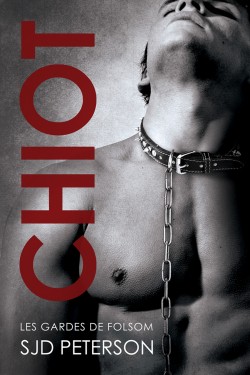 Les Gardiens de Folsom