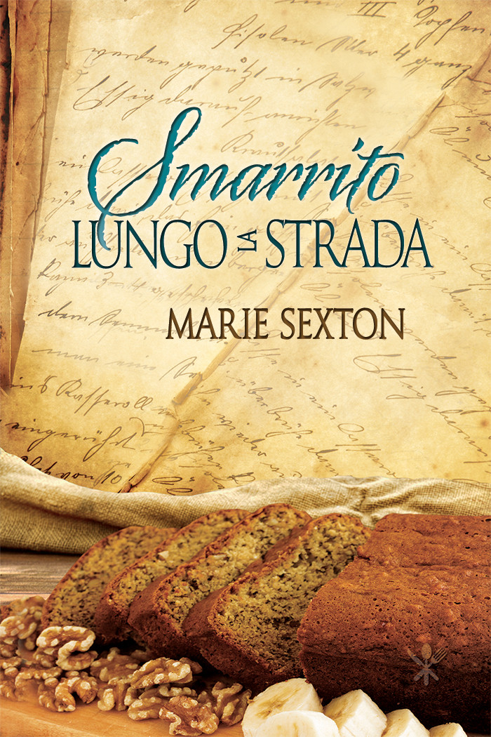 Smarrito lungo la strada