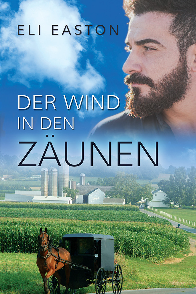 Der Wind In den Zäunen