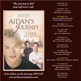 Aidan's Journey Blog Tour