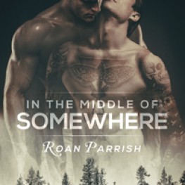 99-Cent eBooks by Roan Parrish