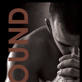 The Final Book in the Guards of Folsom Coming Soon